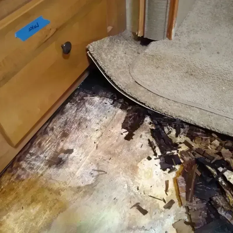 Wood Floor Water Damage in Harvey, MI